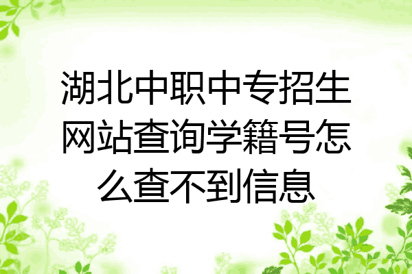 湖北中职中专招生网站查询学籍号怎么查不到信息