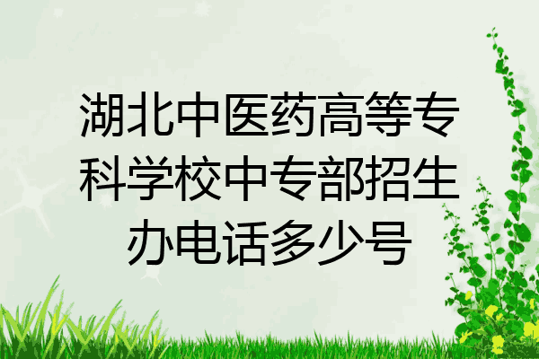 湖北中医药高等专科学校中专部招生办电话多少号