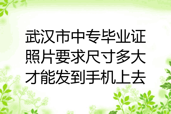 武汉市中专毕业证照片要求尺寸多大才能发到手机上去