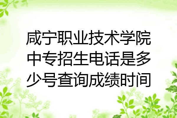 咸宁职业技术学院中专招生电话是多少号查询成绩时间