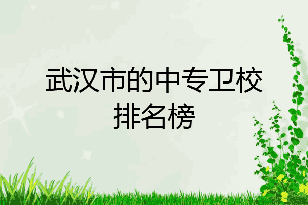 武汉市的中专卫校排名榜