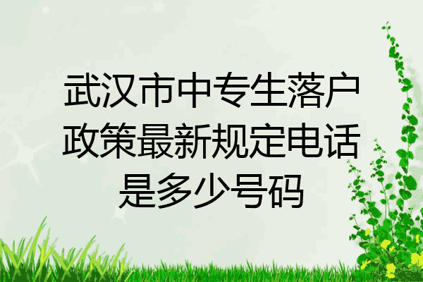 武汉市中专生落户政策最新规定电话是多少号码