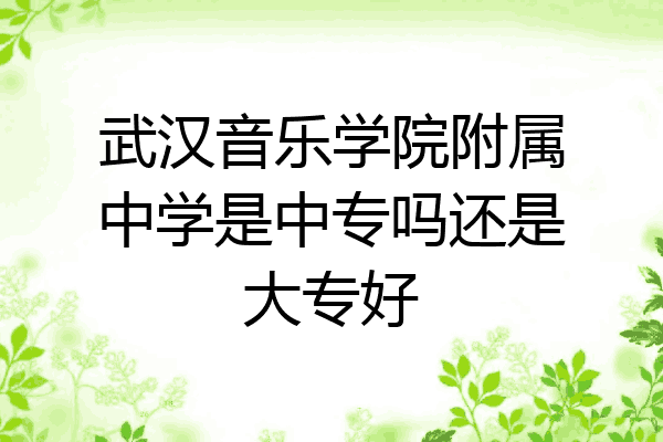 武汉音乐学院附属中学是中专吗还是大专好