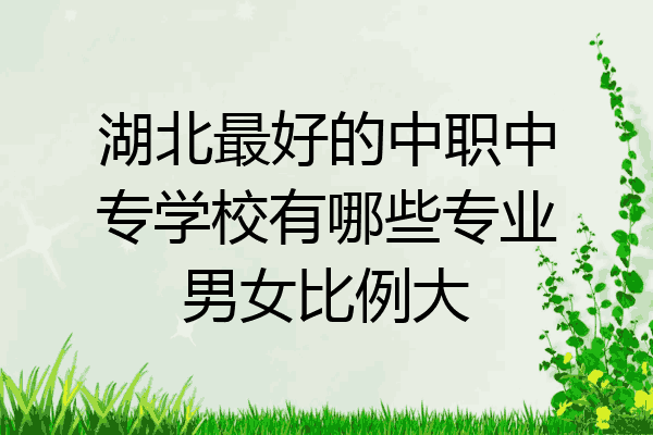 湖北最好的中职中专学校有哪些专业男女比例大