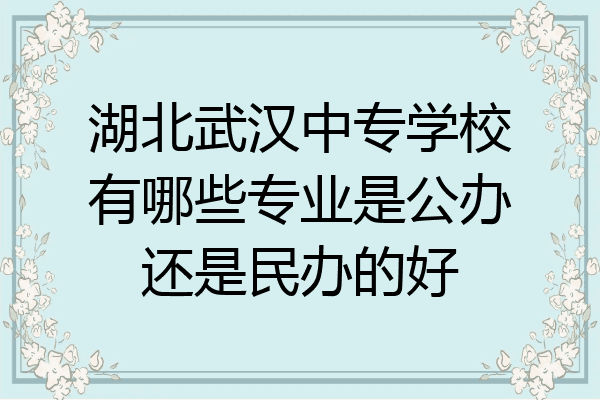 湖北武汉中专学校有哪些专业是公办还是民办的好
