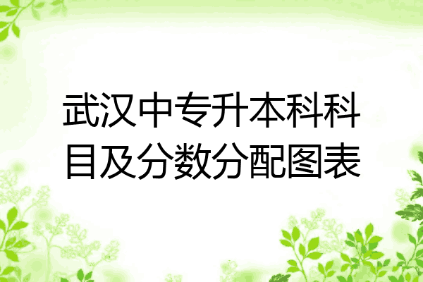武汉中专升本科科目及分数分配图表