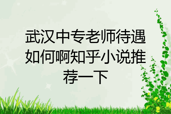 武汉中专老师待遇如何啊知乎小说推荐一下