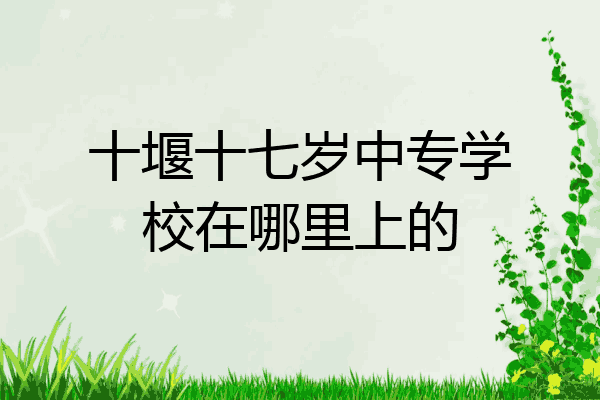 十堰十七岁中专学校在哪里上的