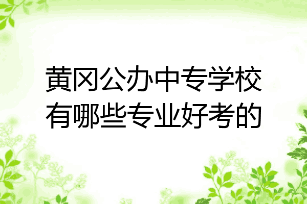 黄冈公办中专学校有哪些专业好考的