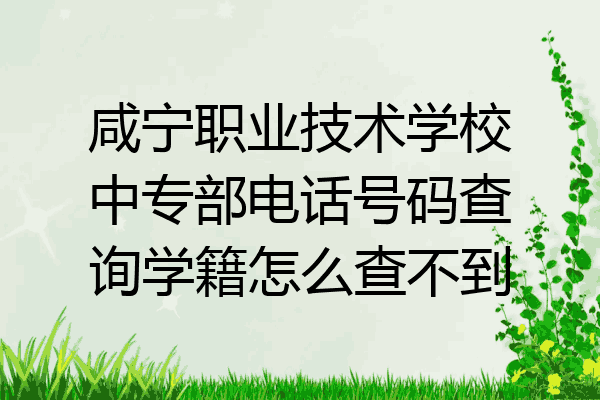 咸宁职业技术学校中专部电话号码查询学籍怎么查不到
