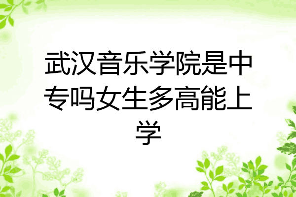 武汉音乐学院是中专吗女生多高能上学