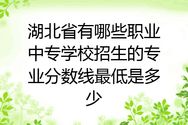 湖北省有哪些职业中专学校招生的专业分数线最低是多少