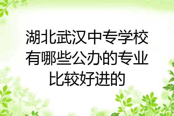 湖北武汉中专学校有哪些公办的专业比较好进的