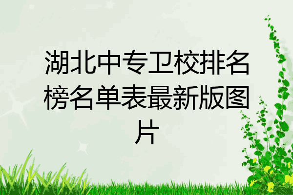 湖北中专卫校排名榜名单表最新版图片