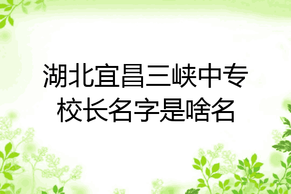 湖北宜昌三峡中专校长名字是啥名