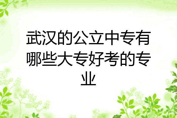 武汉的公立中专有哪些大专好考的专业