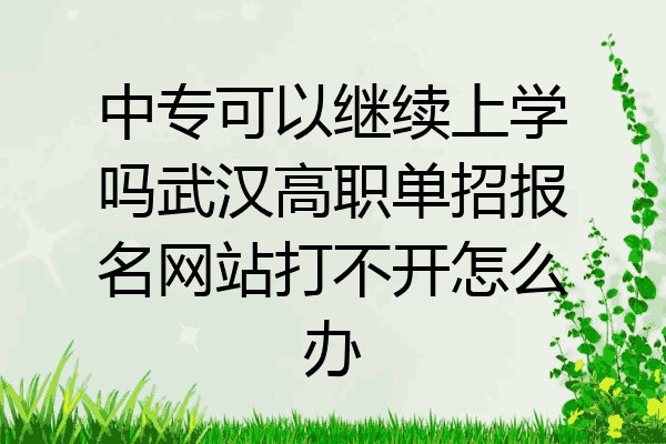 中专可以继续上学吗武汉高职单招报名网站打不开怎么办