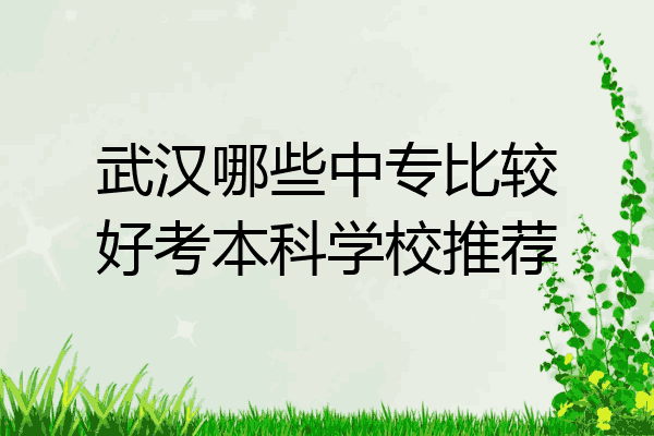 武汉哪些中专比较好考本科学校推荐