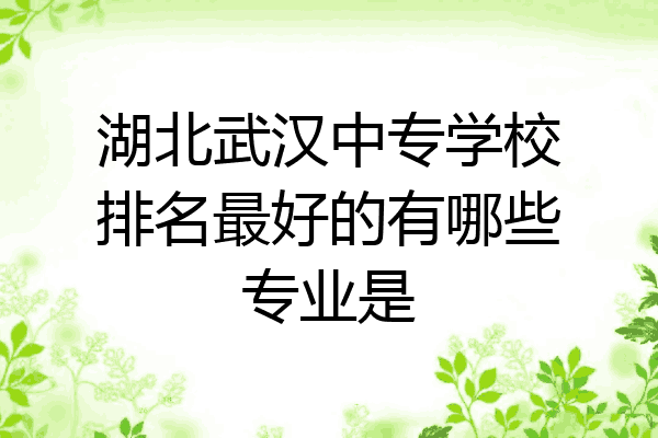 湖北武汉中专学校排名最好的有哪些专业是