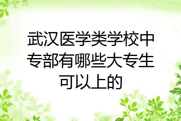 武汉医学类学校中专部有哪些大专生可以上的