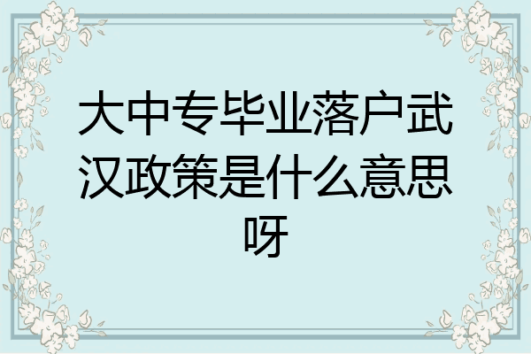 大中专毕业落户武汉政策是什么意思呀