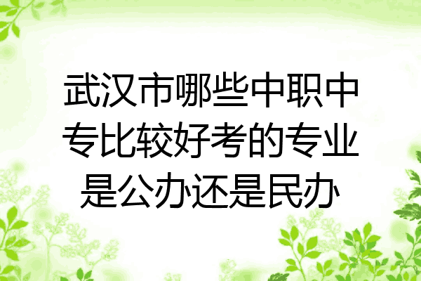武汉市哪些中职中专比较好考的专业是公办还是民办