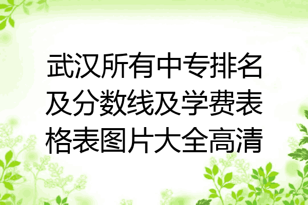武汉所有中专排名及分数线及学费表格表图片大全高清