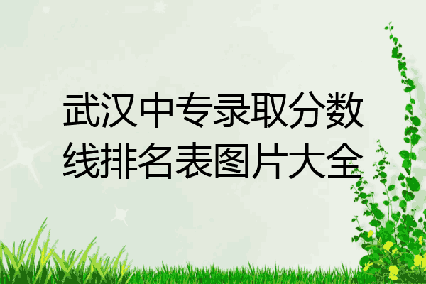 武汉中专录取分数线排名表图片大全