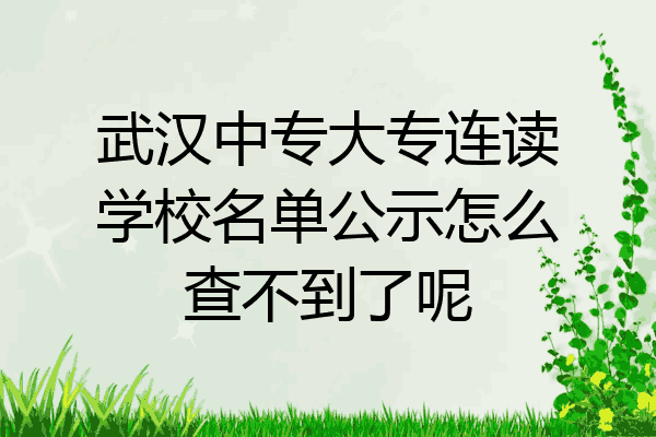武汉中专大专连读学校名单公示怎么查不到了呢