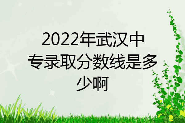 2022年武汉中专录取分数线是多少啊