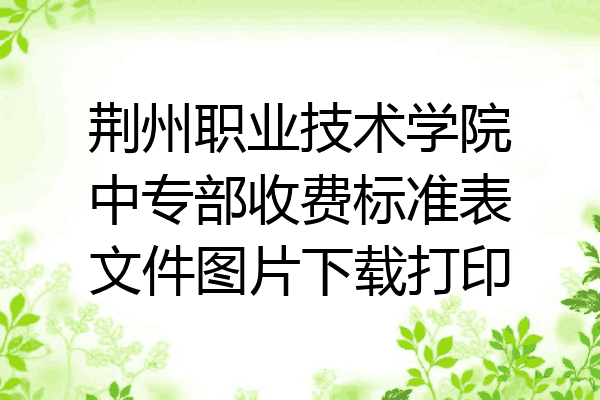 荆州职业技术学院中专部收费标准表文件图片下载打印