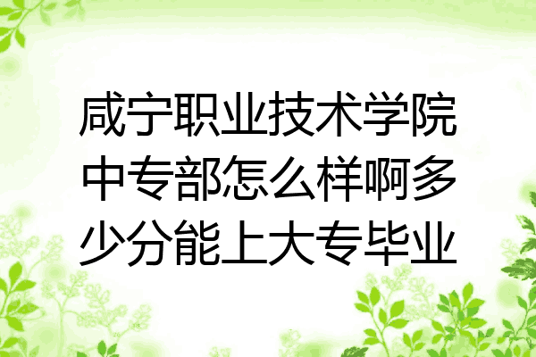 咸宁职业技术学院中专部怎么样啊多少分能上大专毕业
