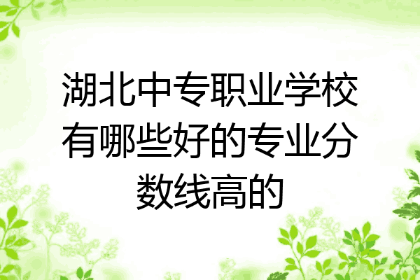 湖北中专职业学校有哪些好的专业分数线高的
