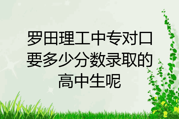 罗田理工中专对口要多少分数录取的高中生呢
