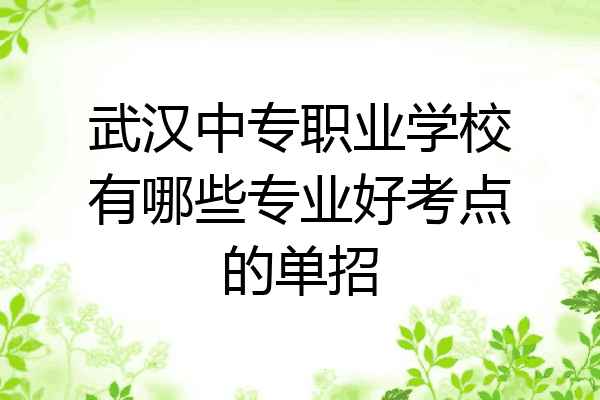 武汉中专职业学校有哪些专业好考点的单招