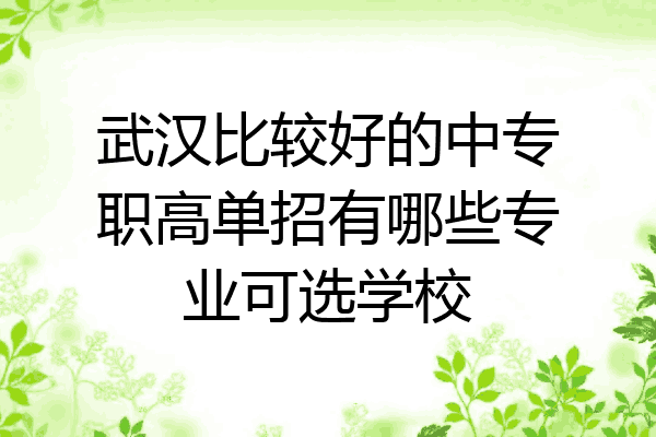 武汉比较好的中专职高单招有哪些专业可选学校