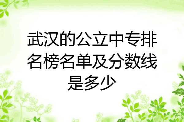 武汉的公立中专排名榜名单及分数线是多少