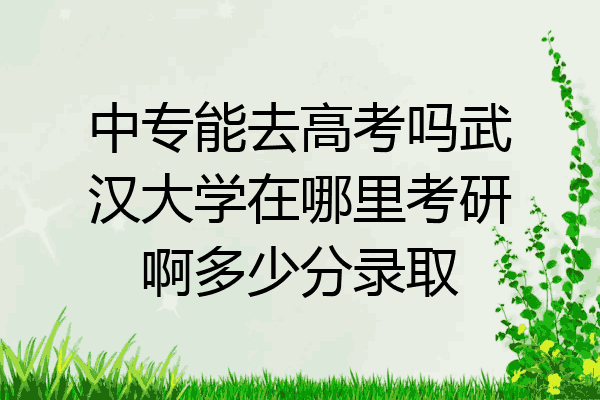 中专能去高考吗武汉大学在哪里考研啊多少分录取