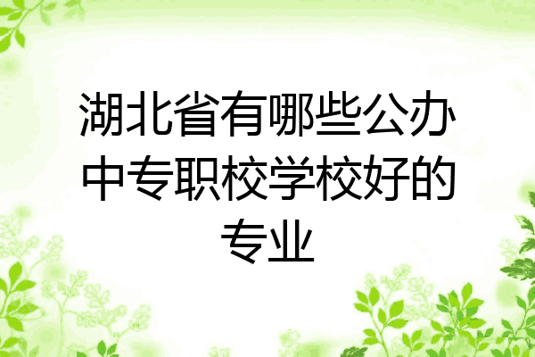 湖北省有哪些公办中专职校学校好的专业