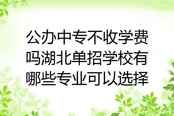 公办中专不收学费吗湖北单招学校有哪些专业可以选择