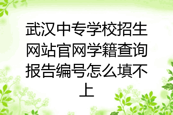 武汉中专学校招生网站官网学籍查询报告编号怎么填不上