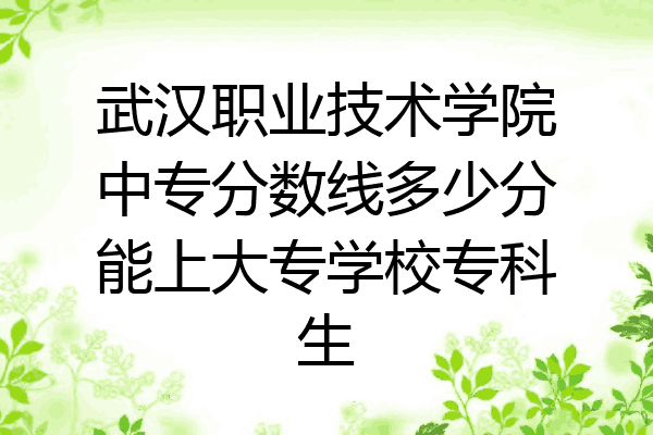 武汉职业技术学院中专分数线多少分能上大专学校专科生