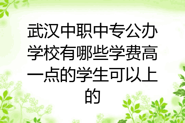 武汉中职中专公办学校有哪些学费高一点的学生可以上的