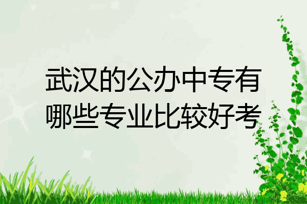 武汉的公办中专有哪些专业比较好考