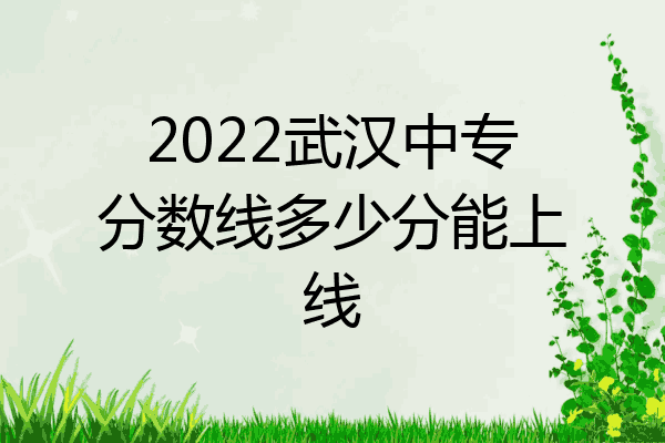 2022武汉中专分数线多少分能上线