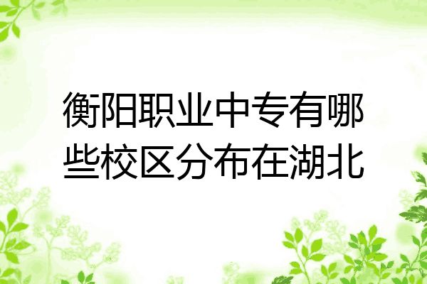 衡阳职业中专有哪些校区分布在湖北