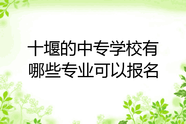 十堰的中专学校有哪些专业可以报名