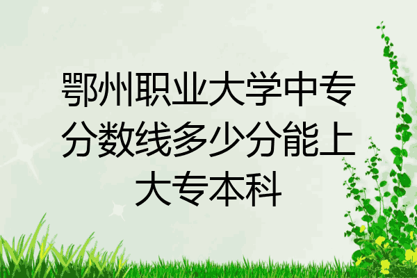 鄂州职业大学中专分数线多少分能上大专本科