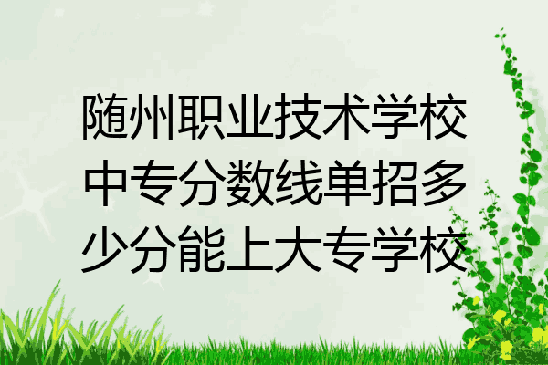 随州职业技术学校中专分数线单招多少分能上大专学校