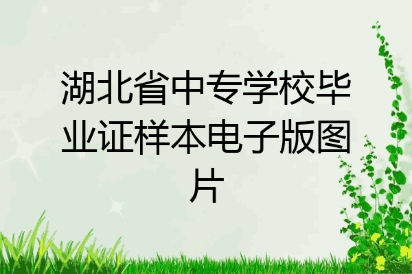 湖北省中专学校毕业证样本电子版图片